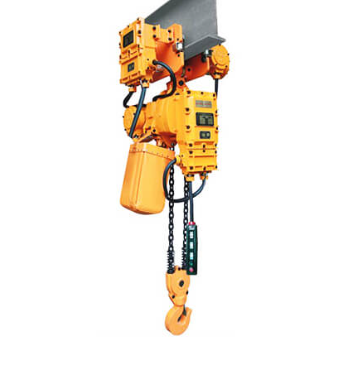 Hook Type Electric Chain Hoist